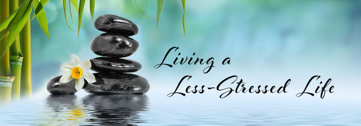 Stress Free Life